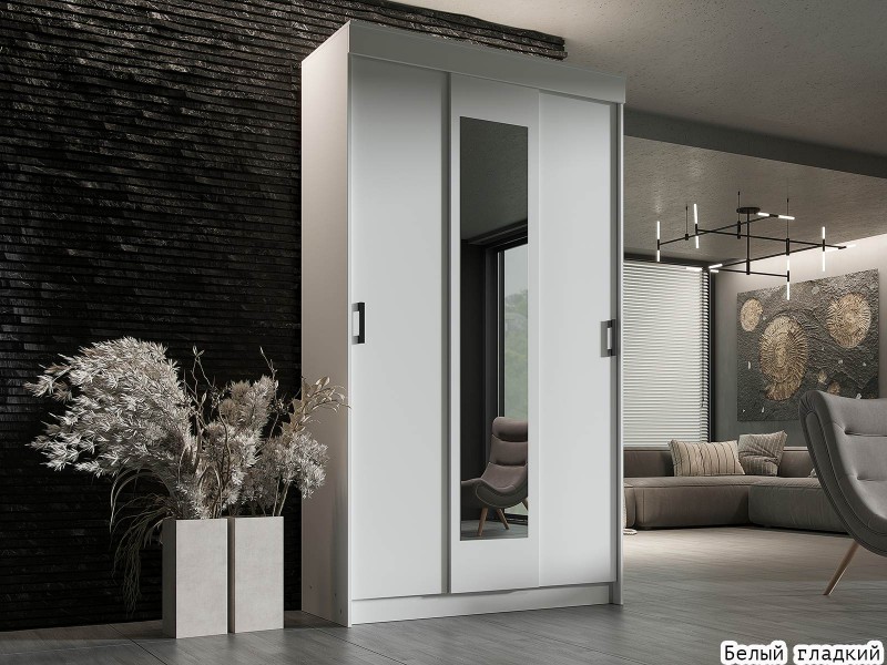 ЭКО Шкаф-купе 1200 [Эко]