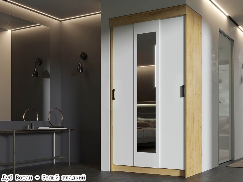 ЭКО Шкаф-купе 1200 [Эко]