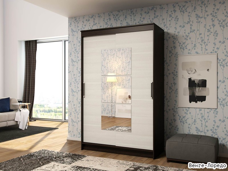 Элегант-1 Шкаф-купе 2-х дверный с зеркалом [Шкаф-купе]