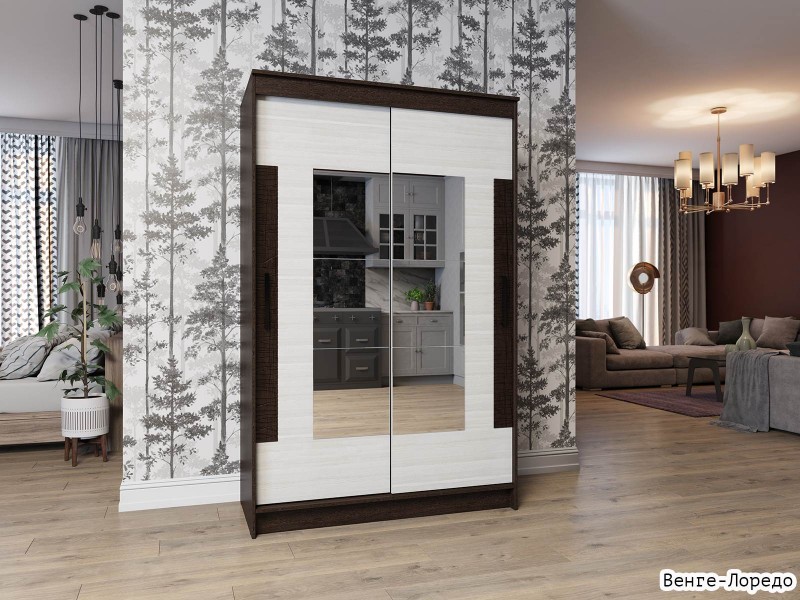Элегант-2 Шкаф-купе 2-х дверный с зеркалом [Шкаф-купе]