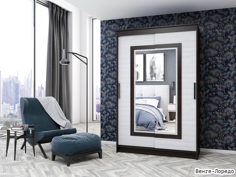 Элегант-5 Шкаф-купе 2-х дверный с зеркалом [Шкаф-купе]