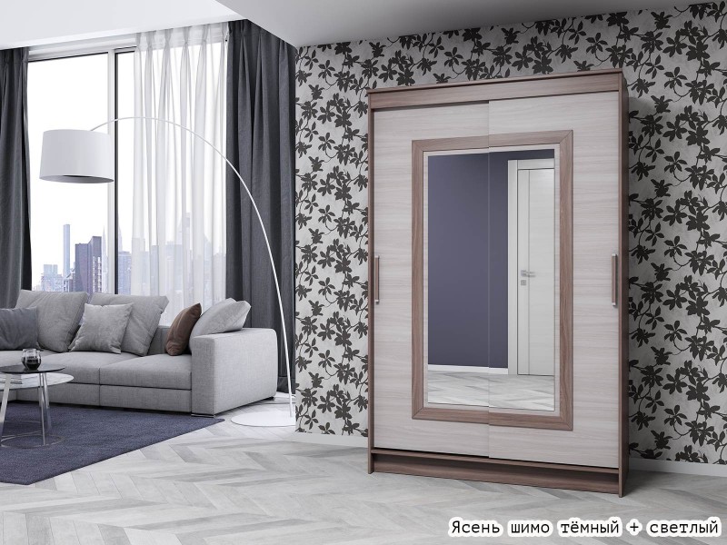 Элегант-5 Шкаф-купе 2-х дверный с зеркалом [Шкаф-купе]