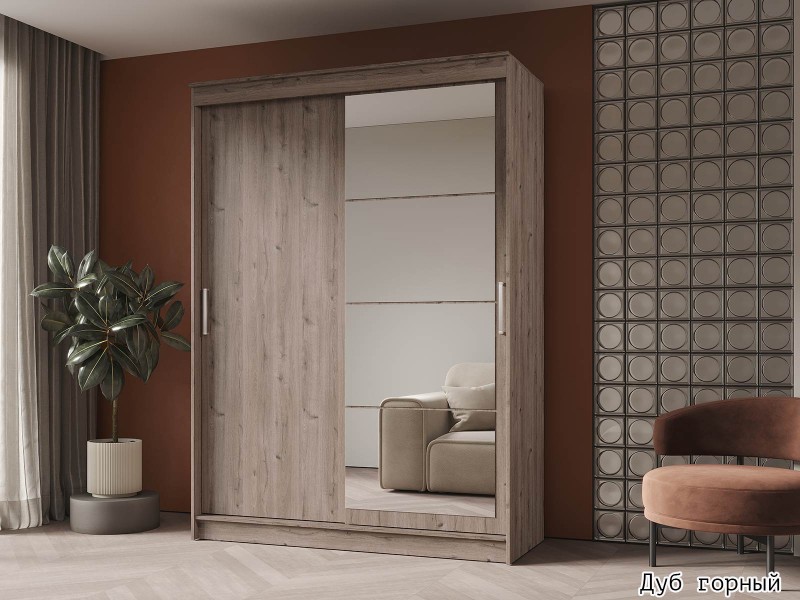 Гранд-1 Шкаф-купе 2-х дверный 1600мм, фасады Зеркало + ЛДСП [Шкаф-купе]