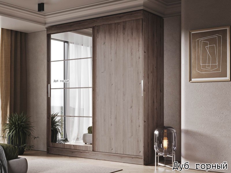 Гранд-1 Шкаф-купе 2-х дверный 2000мм, фасады Зеркало + ЛДСП [Шкаф-купе]