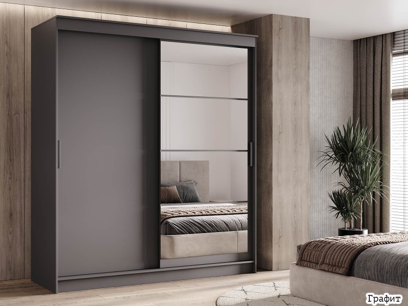 Гранд-1 Шкаф-купе 2-х дверный 2000мм, фасады Зеркало + ЛДСП [Шкаф-купе]