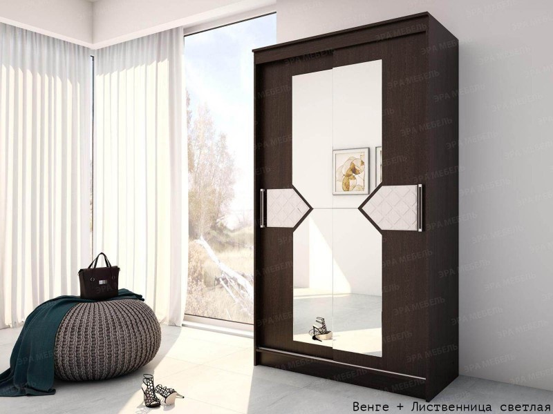 Николь Шкаф-купе 2-х дверный [Николь]