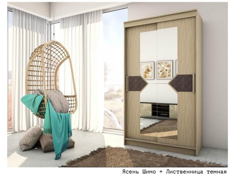 Николь Шкаф-купе 2-х дверный [Николь]