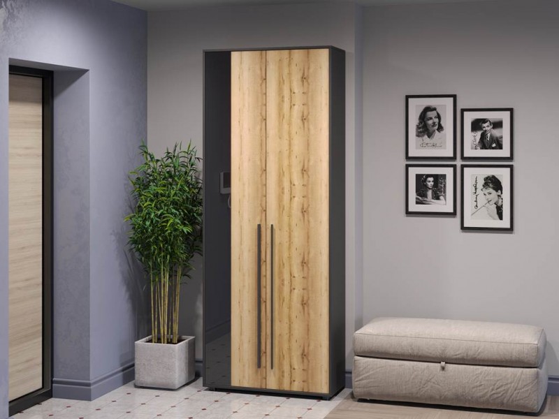 Аэлита секция №5 Шкаф двухстворчатый [Аэлита]